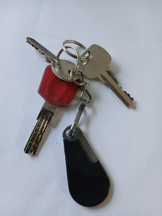 3 clés sur porte-clé noir